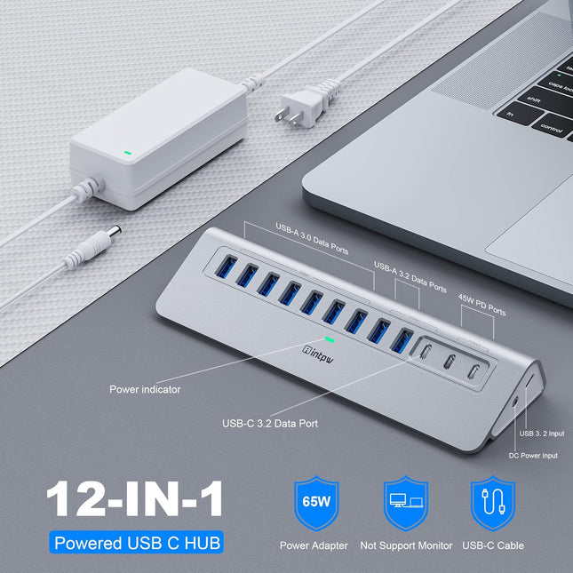 Intpw YH9AC Aluminum Powered USB Hub (12-in-1)
