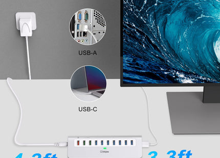 Intpw YH6S Powered USB Hub (10-in-1)