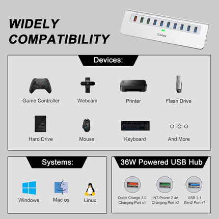 Intpw YH6S Powered USB Hub (10-in-1)