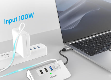 Intpw P5 USB C Hub (5-in-1)