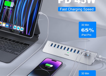 Intpw YH9AC Aluminum Powered USB Hub (12-in-1)